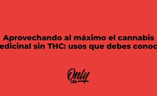 ONLYFANSCBD - Aprovechando al maximo el cannabis medicinal sin THC. usos que debes conocer
