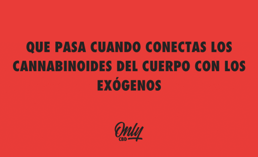 QUE PASA CUANDO CONECTAS LOS CANNABINOIDES DEL CUERPO CON LOS EXÓGENOS