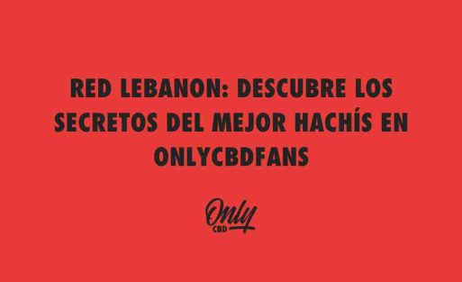 RED LEBANON DESCUBRE LOS SECRETOS DEL MEJOR HACHÍS EN ONLYCBDFANS