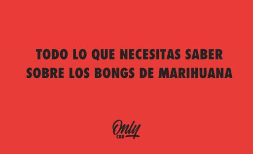 TODO LO QUE NECESITAS SABER SOBRE LOS BONGS DE MARIHUANA