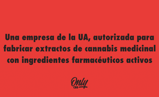 Una empresa de la UA, autorizada para fabricar extractos de cannabis medicinal con ingredientes farmacéuticos activos